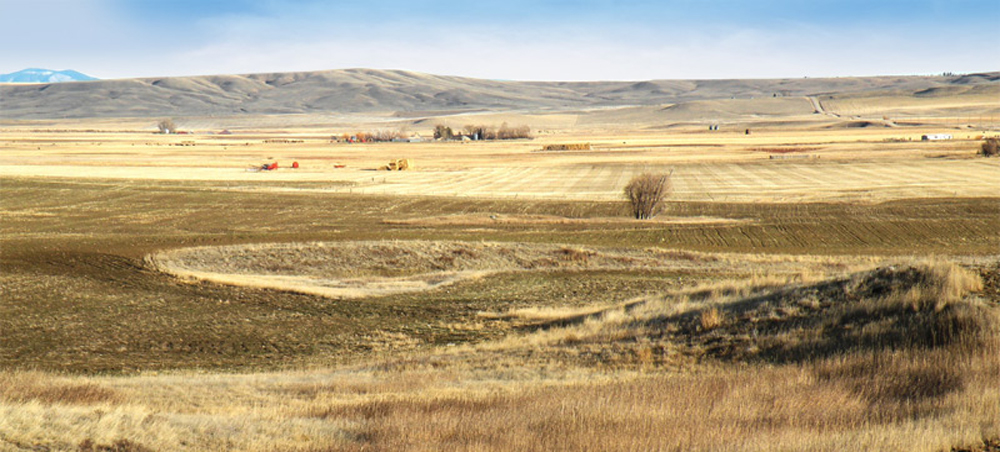 Judith-Basin-Farmland-Feature