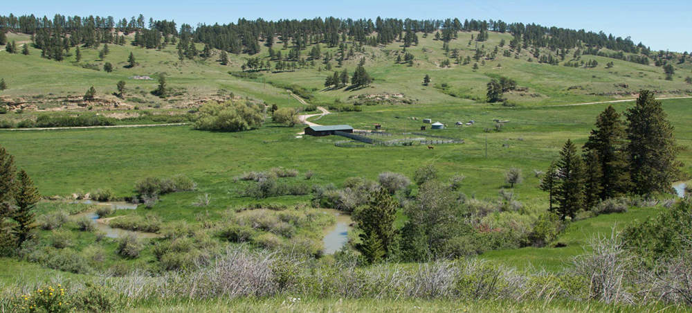 McDonald Creek Ranch FEATURE