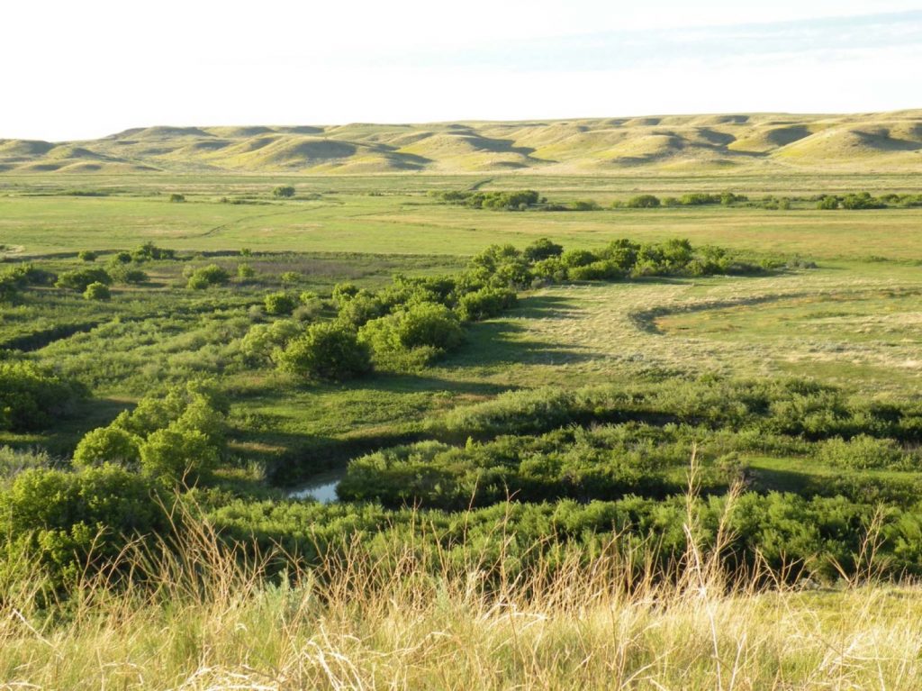 Teigen Ranch 03