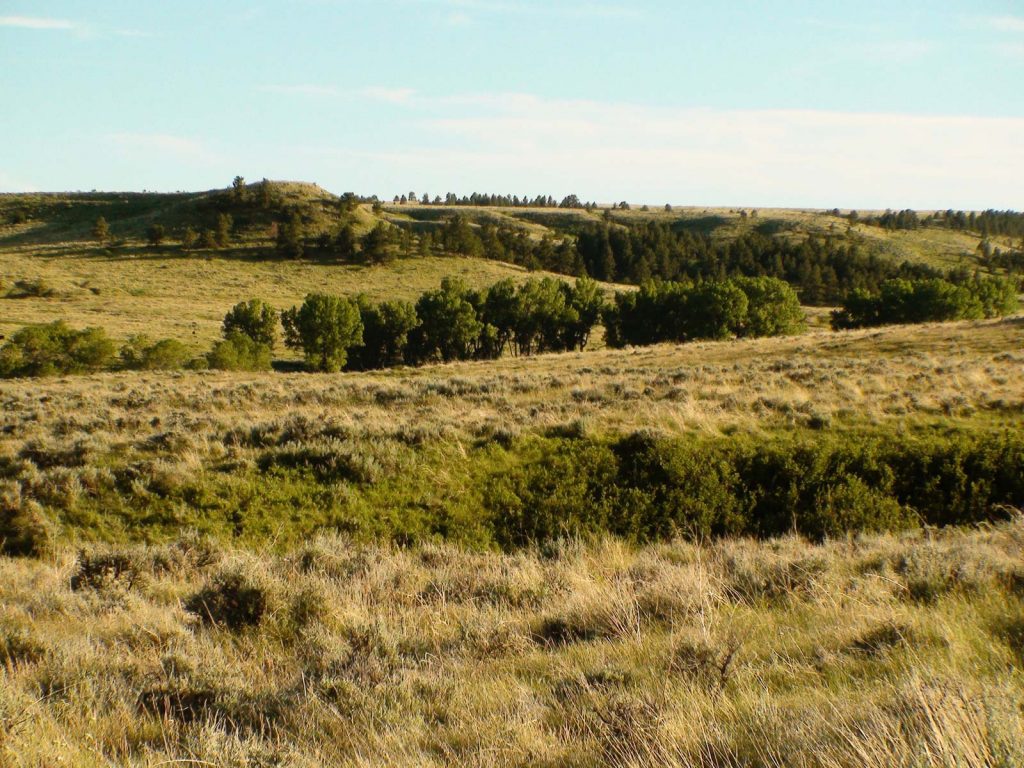 Teigen Ranch 06