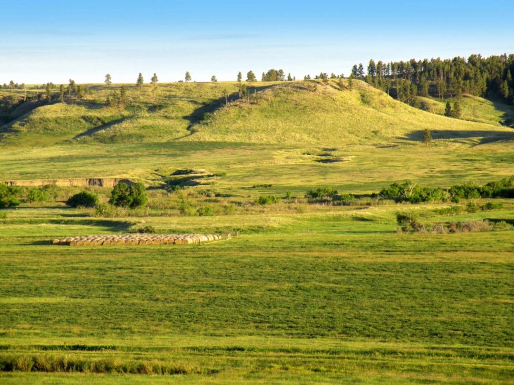 Teigen Ranch 08