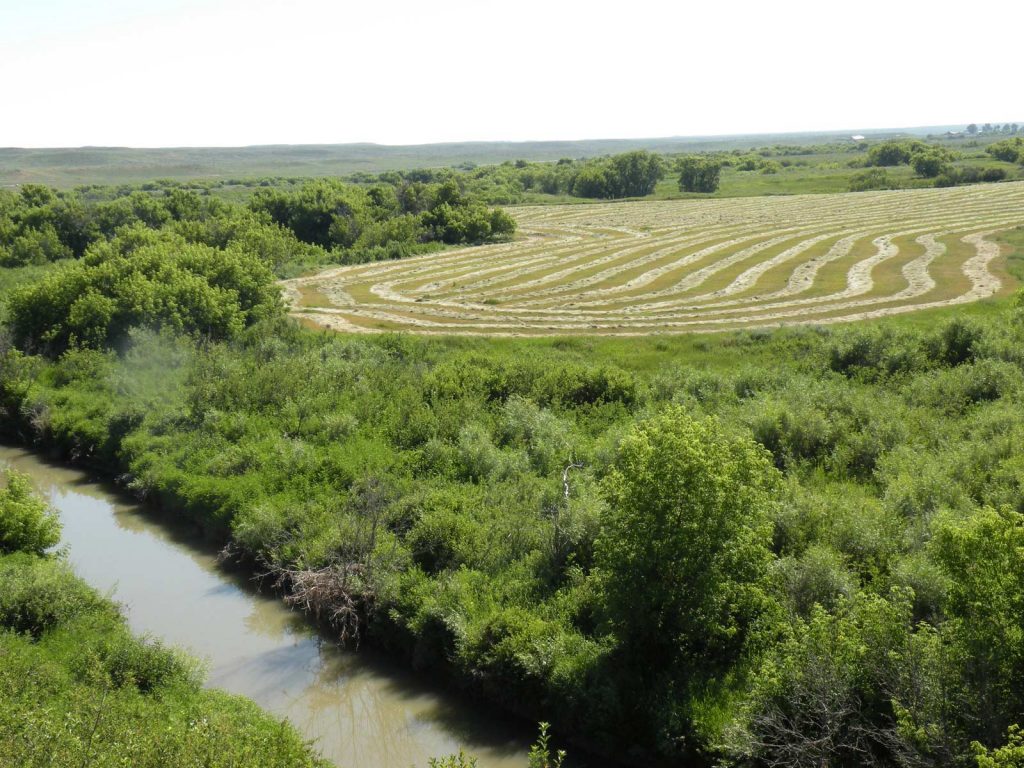Teigen Ranch 12