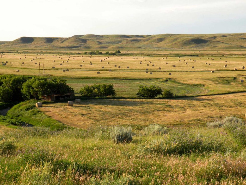 Teigen Ranch 14