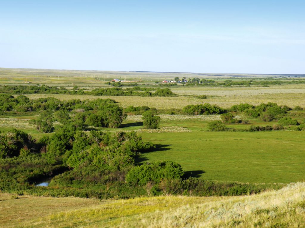 Teigen Ranch 19