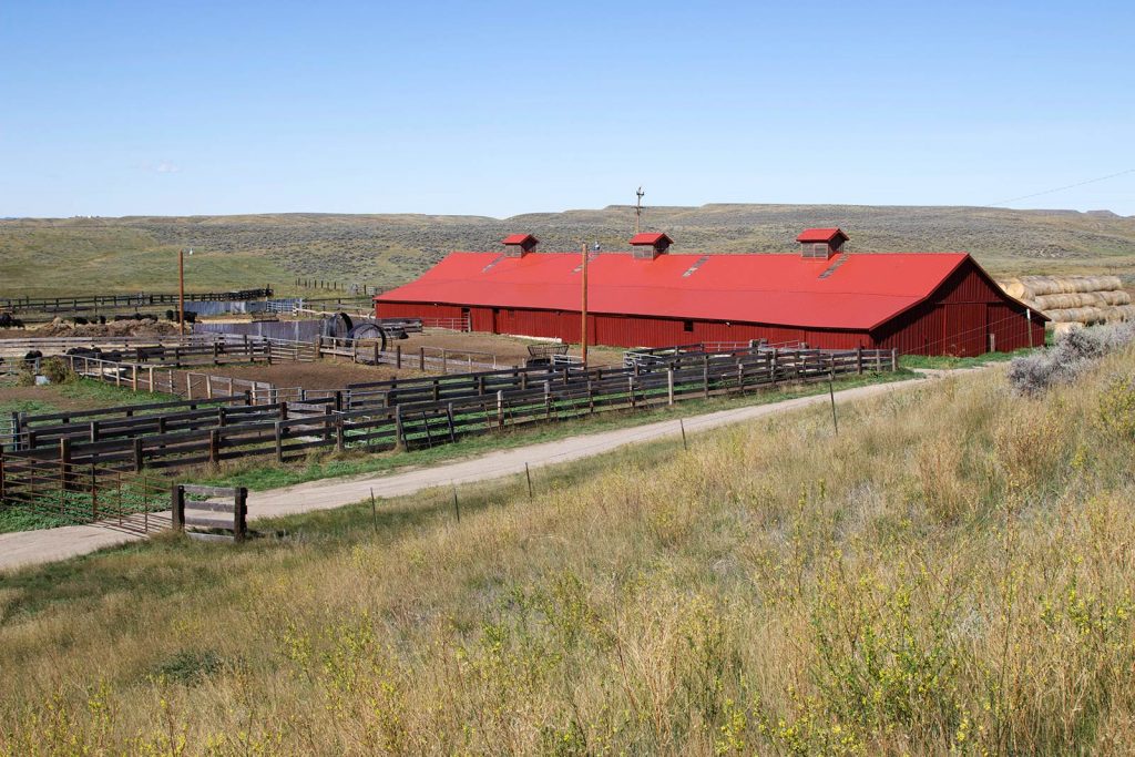 Teigen Ranch 23