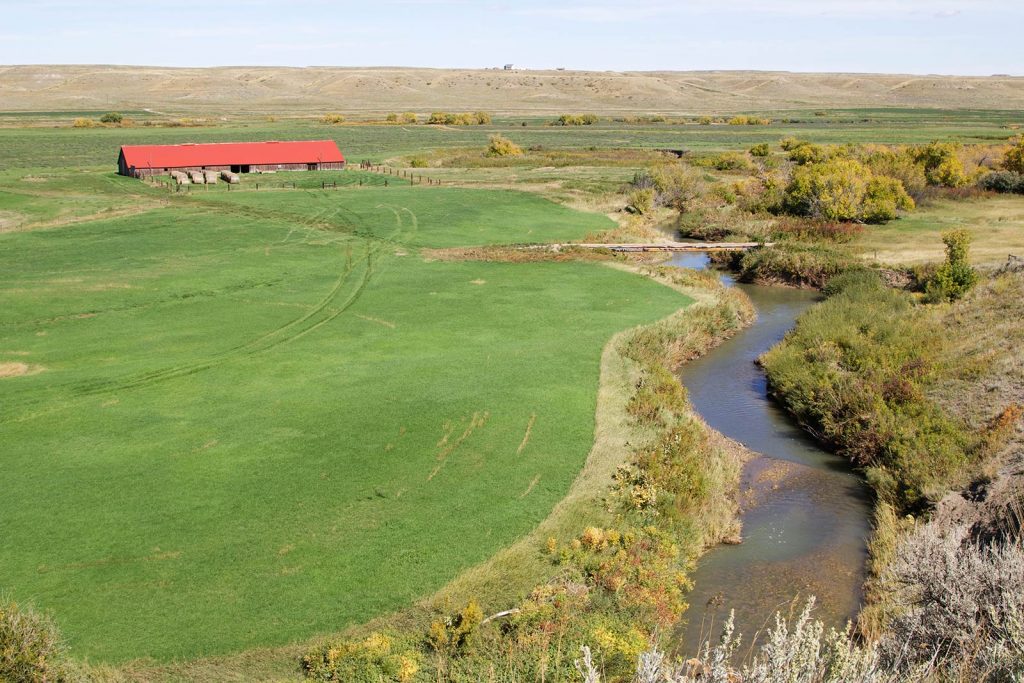 Teigen Ranch 28