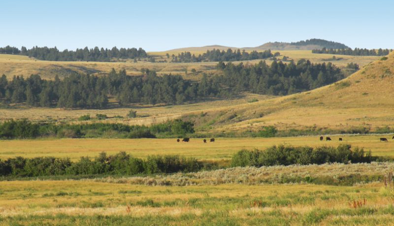 Paradise-Coulee-Ranch-Feature