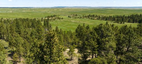 WeedCreekRanchFeature02