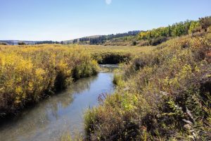 EastFork1602