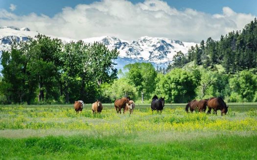 Beartooth Ranch | Represented the Buyer | Asking Price $29,800,000