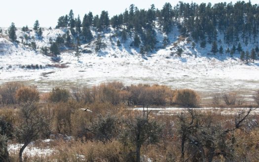 Opening Day at the Teigen Ranch