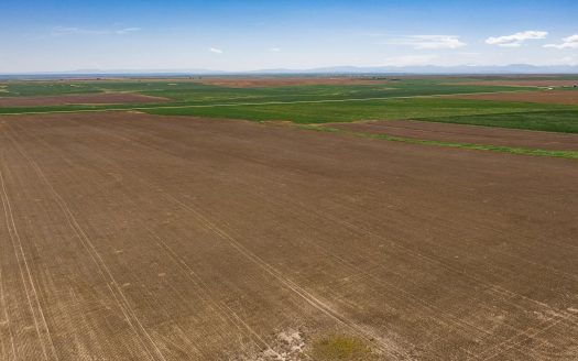 Sold! Alton Farm 419 deeded acres Denton, MT | Asking Price $564,900