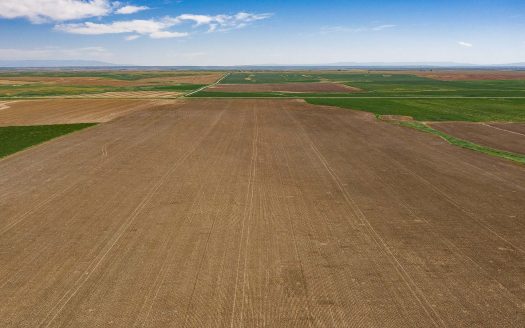 Sold! Alton Farm 419 deeded acres Denton, MT | Asking Price $564,900