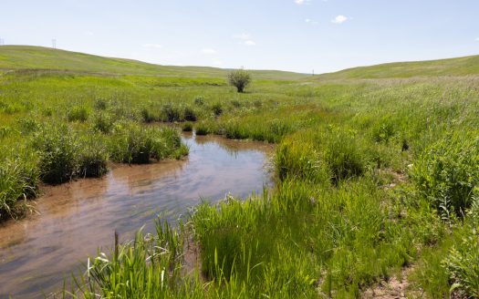 Antelope Creek Ranch | 3,476 acres  Hobson, MT | $5,490,000