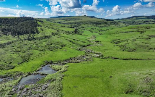 Bear Creek Ranch | 1,180 acres  Lewistown, MT | $2,990,000