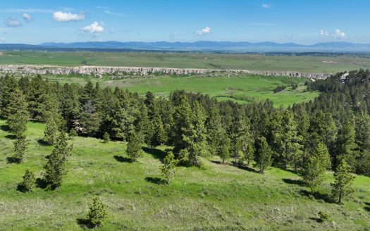 Bear Creek Ranch | 1,180 acres  Lewistown, MT | $2,990,000