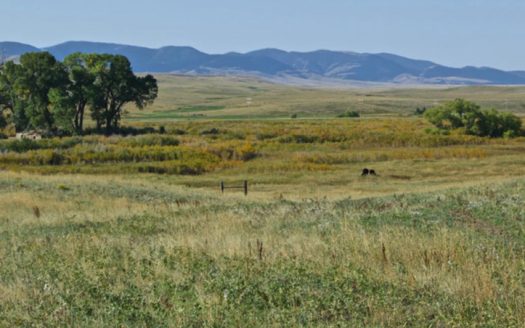 Cottonwood Creek Ranch | Asking Price $2,600,000