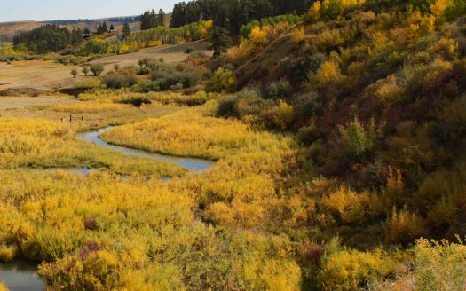 Under Contract! East Fork Meadows | 33 acres Lewistown, MT | $459,000