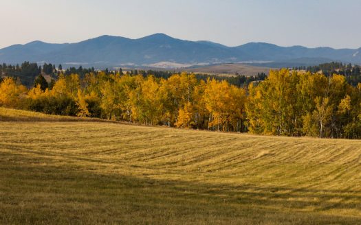 Under Contract! East Fork Meadows | 33 acres Lewistown, MT | $459,000