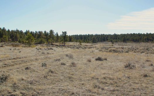Sold! Fords Creek Pasture Unit | 4,100 acres  Grass Range, MT | Asking Price $1,980,000