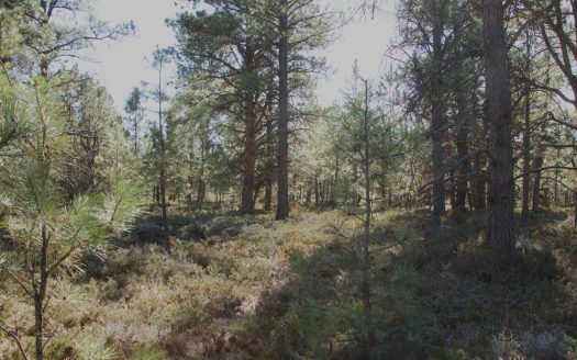 Sold! Fords Creek Pasture Unit | 4,100 acres  Grass Range, MT | Asking Price $1,980,000