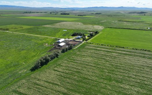 New Offering! Harrison Place |1,590 acres Hobson, MT| $3,975,000
