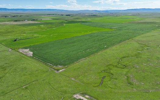 New Offering! Harrison Place |1,590 acres Hobson, MT| $3,975,000