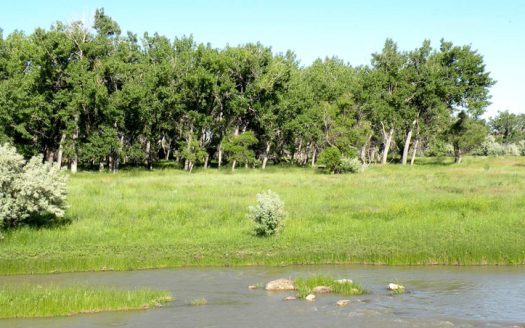 Cottonwood Creek Ranch | Asking Price $2,600,000