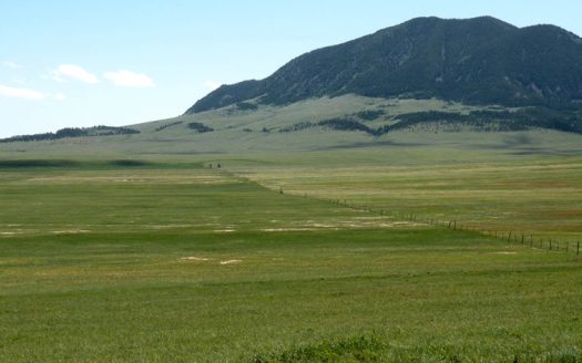 Cottonwood Creek Ranch | Asking Price $2,600,000