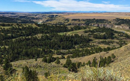 Sportsman’s Judith River Ranch | Asking Price $3,950,000