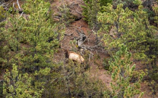 Sold! Private Sportsman’s Judith River Ranch 2,924 deeded acres  Lewistown, MT | Asking Price $3,950,000