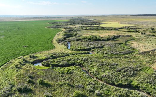 Montana’s Best Bird Hunting! Spurs & Furs Ranch | 3,451 acres  Winnett, MT | $5,521,000