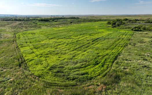 Montana’s Best Bird Hunting! Spurs & Furs Ranch | 3,451 acres  Winnett, MT | $5,521,000
