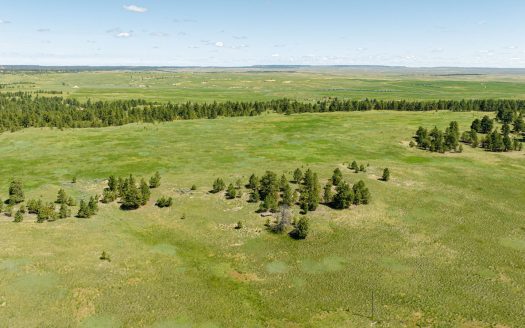 Price Adjustment! Weed Creek Ranch |1,312 acres East Side of Bull Mountains | $1,312,000